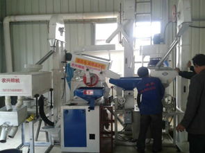 批發供應廠家直銷組合碾米機成套設備 價格、圖片與技術服務詳解