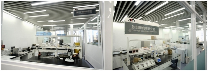 上海技術(shù)服務(wù)有限公司 專(zhuān)業(yè)驅(qū)動(dòng)，智領(lǐng)未來(lái)